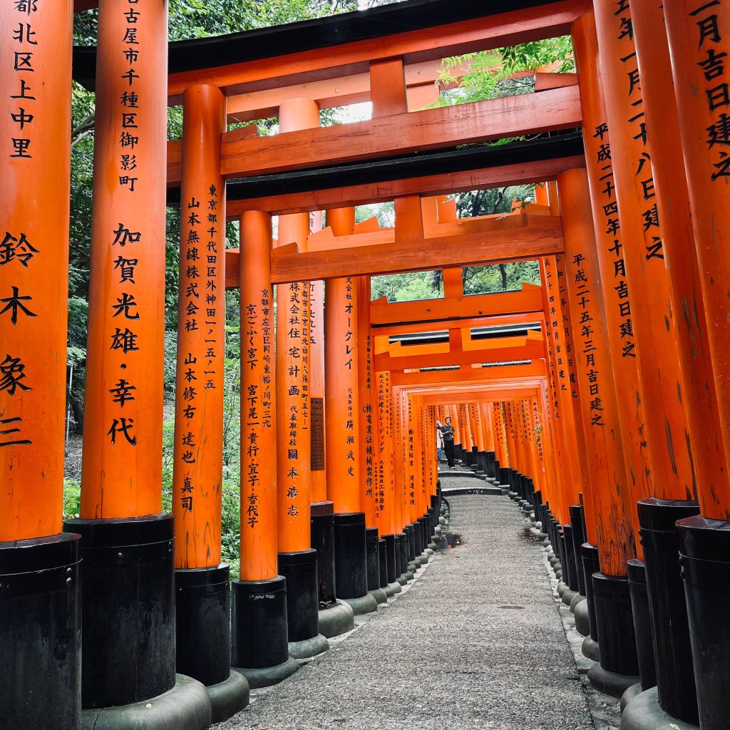 Tour fantastico por Japón.