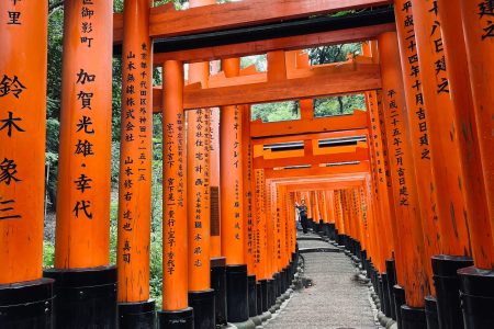 Tour fantastico por Japón.